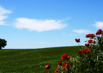 20 das mais incríveis fotos do Caminho de Santiago