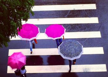 Minha Rua Vista de Cima