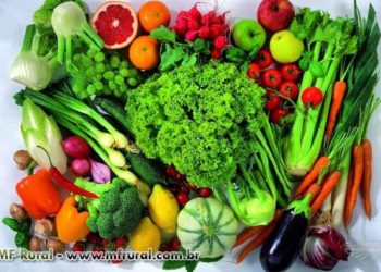 A matança das abelhas