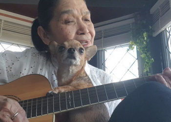 O bem que o cão faz a pessoas vítimas de doenças, como derrame