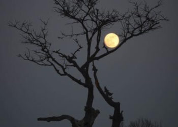 Majestosamente Cheia