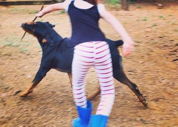 A Menina e o Pitbull