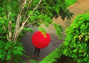 Rompendo a soberania do verde