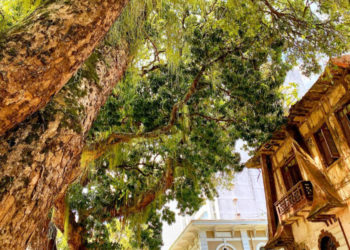 O Restaurado e o Arruinado