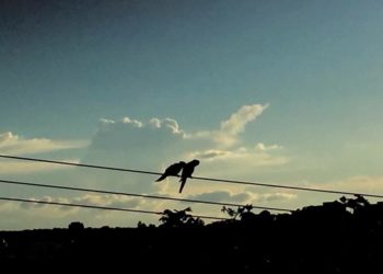 Aglomeração a Dois