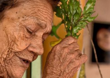 Sabedoria ancestral das benzedeiras mostra poder das ervas