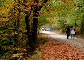 Nº de brasileiros no Caminho de Santiago quadruplica em 10 anos