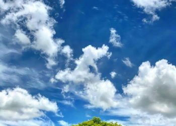 Aqui, no Meu Olhar, você vai ver uma fotografia nova todos os dias