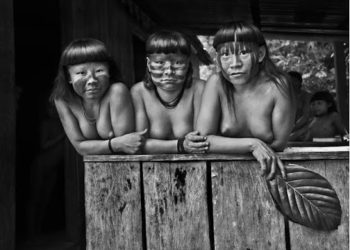 Guardiões do Paraíso