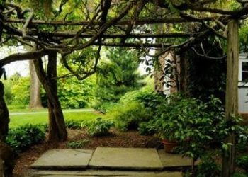 O Asilo dos Meus Sonhos