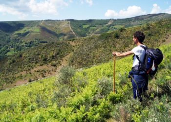 Dobra número de brasileiros que percorrem Caminho de Santiago