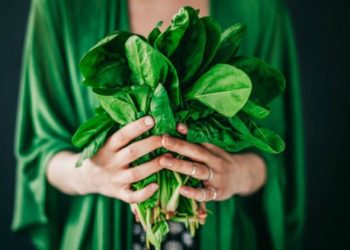 Alface, couve e outras folhas para ajudar a manter a memória