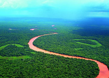 A Grandiosidade do Pantanal
