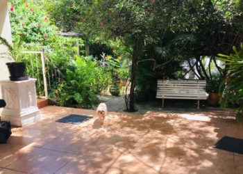 Como estou enfrentando a quarentena no interior de Minas