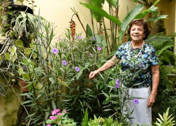 Yara Tupynambá celebra 70 anos de carreira com exposição de seu rico trabalho