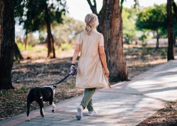 Quantos são os passos por dia para não engordar