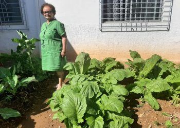 Tive o privilégio de ter mãe por 68 anos.  Herdei dela antigas preciosidades