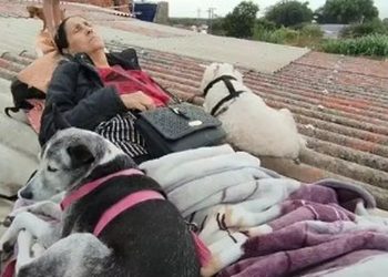 Doe o que puder ao RS. Mesmo que seja o tempo de uma prece