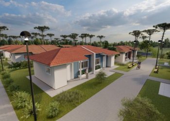 Em busca de um programa de ecovilas para idosos