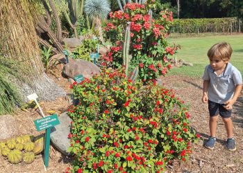 A energia renovadora de uma criança alegre