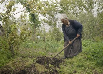 Um dos segredos da longevidade é ter um propósito que dê direção à sua vida