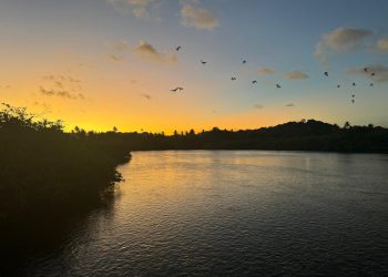 ‘Microalegria’, a tendência que nos conecta ao sentido da vida