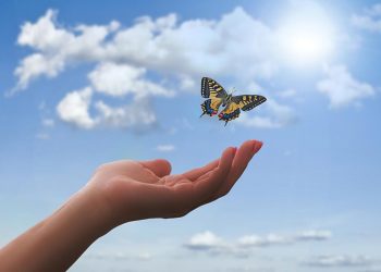 Passado o Natal, é hora do desapego, de se desfazer do que não se usa