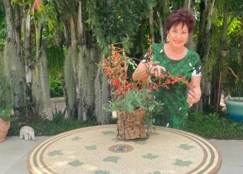 Agora, estou em horário nobre: meu tempo vale muito