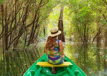 Amazônia: brasileiro ignora seu grande tesouro