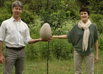 Nada de enterro. Depois da vida, você pode virar uma árvore